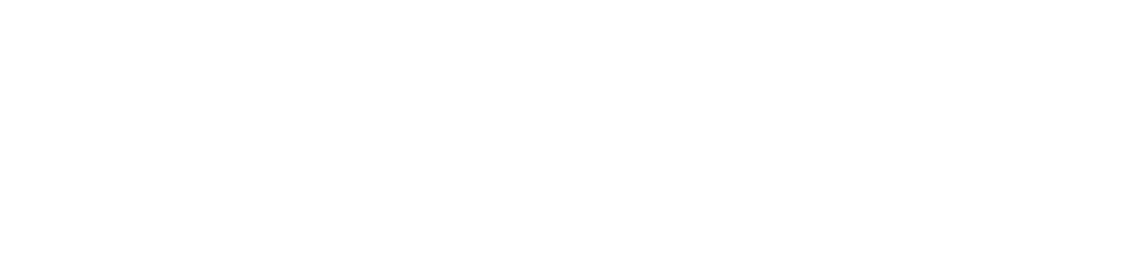 Asset 4