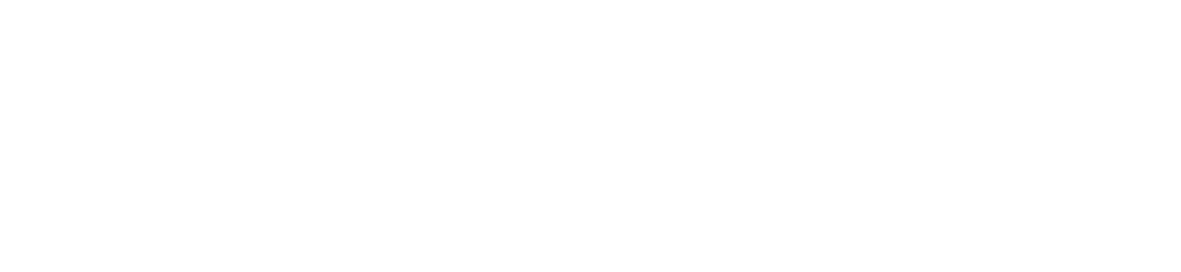 Asset 5